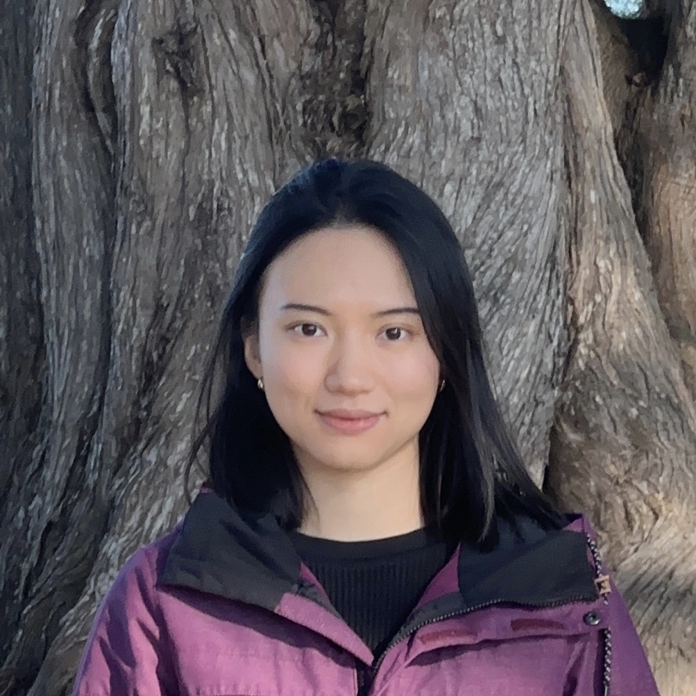 Mengdi Xu